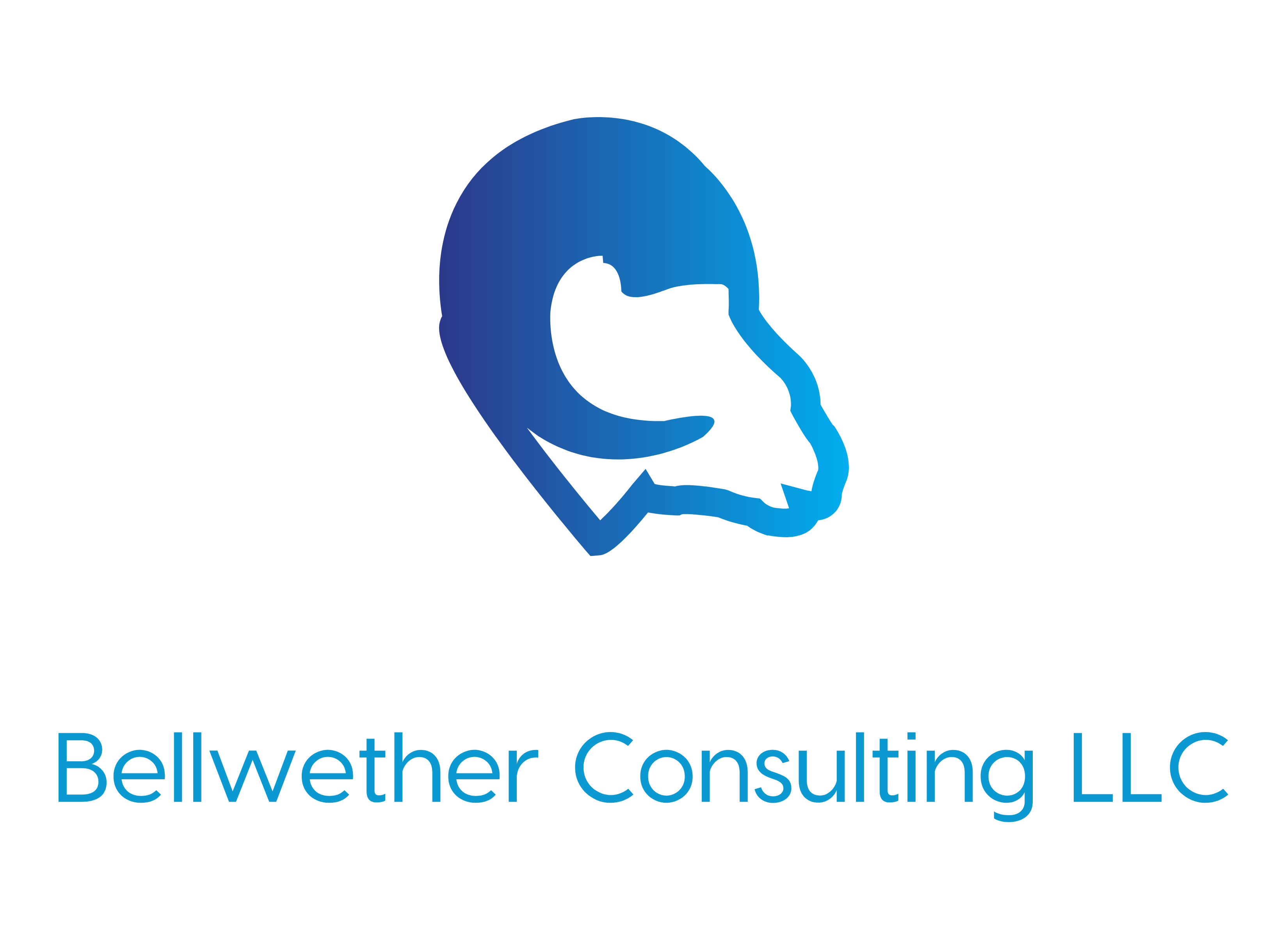 Bellwether Consulting, LLC